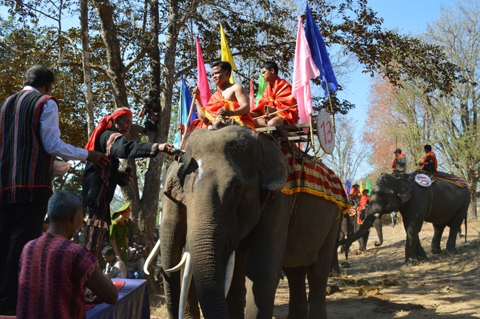 18 chú voi lần lượt được già làng Ây Bê tiến hành các nghi thức truyền thống như: Bôi tiết heo lên trán, rưới nước lên đầu, rải gạo…nhằm cầu mong sức khỏe cho voi