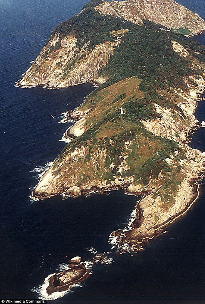 Đảo Ilha de Queimada Grande