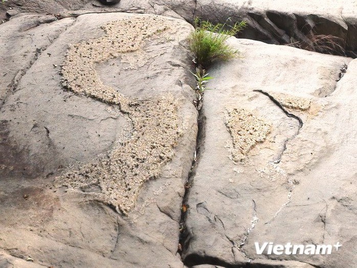 Bản đồ Việt Nam hiện lên trên phiến đá