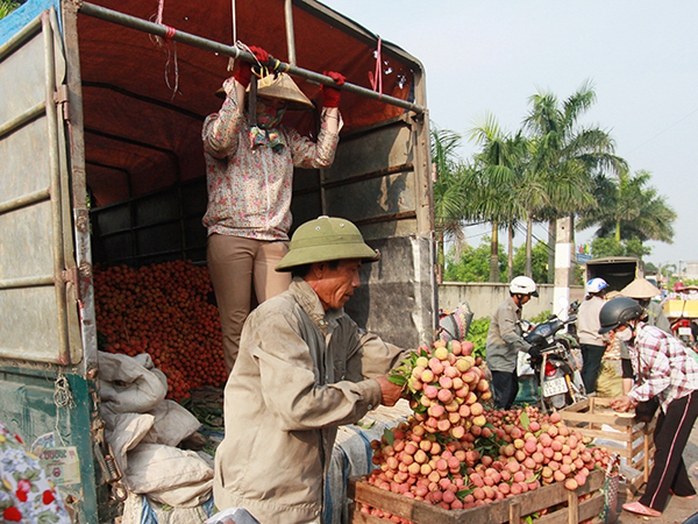 Người bán nhiều nhưng người mua ít nên tình trạng ép giá thường xuyên xải ra. Ảnh: TRỌNG ĐỨC Người bán nhiều nhưng người mua ít nên tình trạng ép giá thường xuyên xải ra. Ảnh: TRỌNG ĐỨC