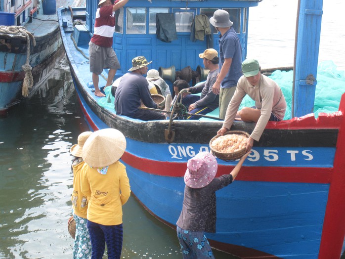 Chuyển ruốc vào bờ