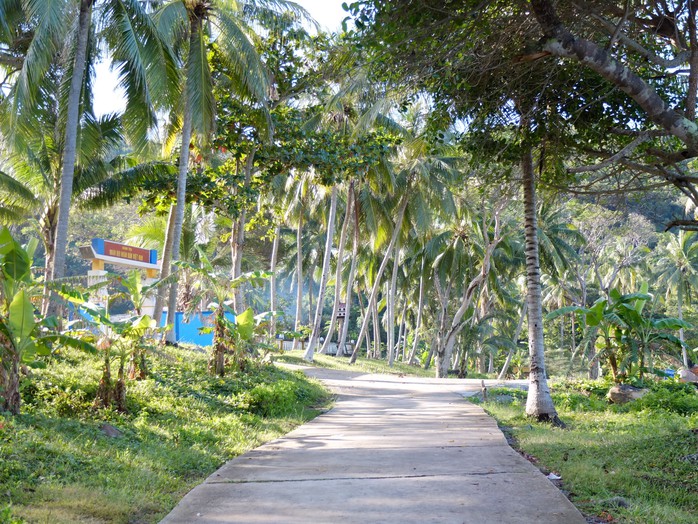 Con đường ven biển rợp bóng dừa ở đảo Thổ Chu