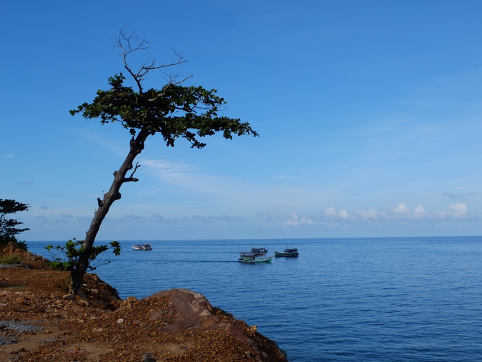 Xanh là màu chủ đạo trên con đường ven biển của đảo Thổ Chu