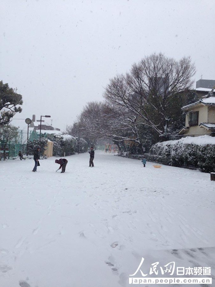 人民网东京2月8日电（滕雪）受强冷空气和低气压影响，日本东京自8日早间迎来强降雪。日本气象厅时隔13年针对东京都23区发布了大雪预警。