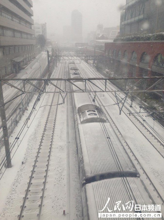 人民网东京2月8日电（滕雪）受强冷空气和低气压影响，日本东京自8日早间迎来强降雪。日本气象厅时隔13年针对东京都23区发布了大雪预警。