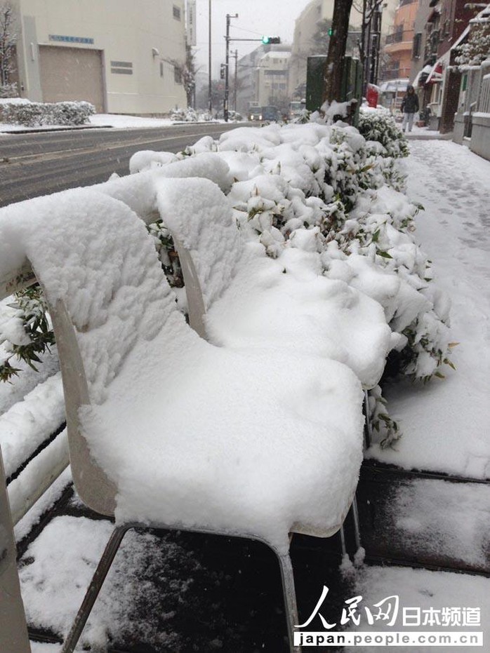 人民网东京2月8日电（滕雪）受强冷空气和低气压影响，日本东京自8日早间迎来强降雪。日本气象厅时隔13年针对东京都23区发布了大雪预警。