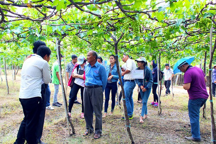 Mở cửa phục vụ khách tham quan miễn phí nhưng trang trại nho của ông lúc nào cũng có hướng dẫn viên nhiệt tình đón khách, nhiều lúc đích thân ông đưa khách tham quan vườn nho, giảng giải cho du khách quy trình chăm sóc đến các công đoạn thu hoạch, chế biến rượu nho. Mở cửa phục vụ khách tham quan miễn phí nhưng trang trại nho của ông lúc nào cũng có hướng dẫn viên nhiệt tình đón khách, nhiều lúc đích thân ông đưa khách tham quan vườn nho, giảng giải cho du khách quy trình chăm sóc đến các công đoạn thu hoạch, chế biến rượu nho.