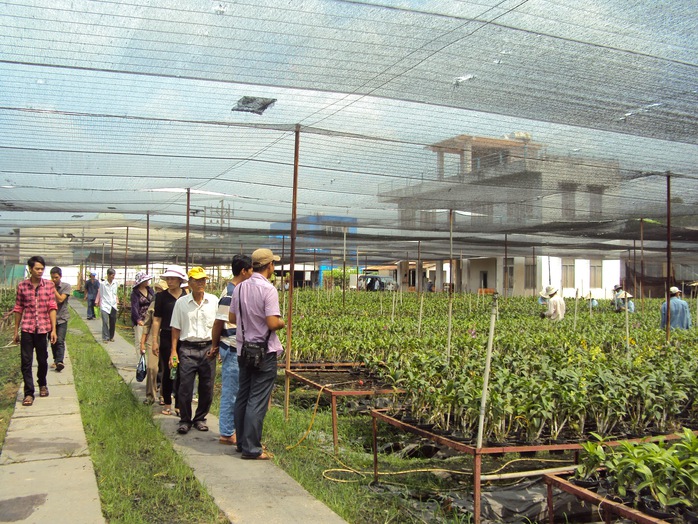 Lao động nông thôn tại TP HCM học nghề trồng hoa lan tại huyện Bình Chánh
ảnh: HỒNG NHUNG