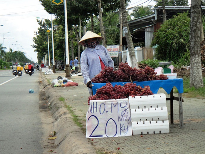 Nho được bán lẻ trên Quốc lộ 60 (TP Bến Tre, tỉnh Bến Tre). Nho được bán lẻ trên Quốc lộ 60 (TP Bến Tre, tỉnh Bến Tre).