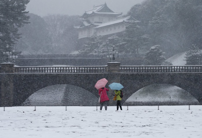 Tuyết phủ trắng Hoàng cung Nhật ở Tokyo. Ảnh: Reuters