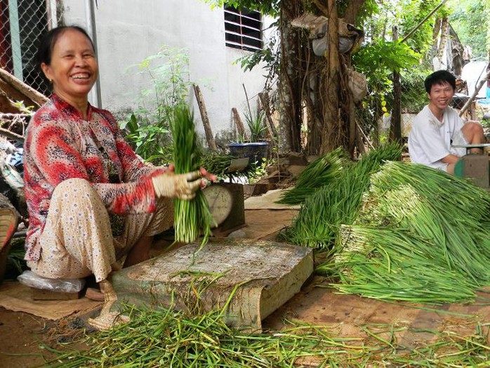 Giá hẹ đột ngột tăng cao khiến người dân rất phấn khởi.