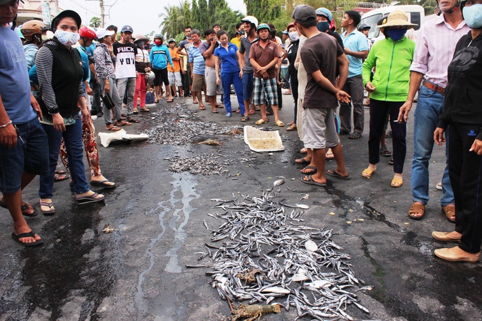 Người dân đổ cá trước UBND phường