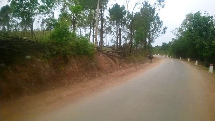 Khu vực Khe Mây- U Bò (dọc Quốc lộ 22), nơi xảy ra vụ nổ thương tâm khiến 2 người chết, 2 người nguy kịch