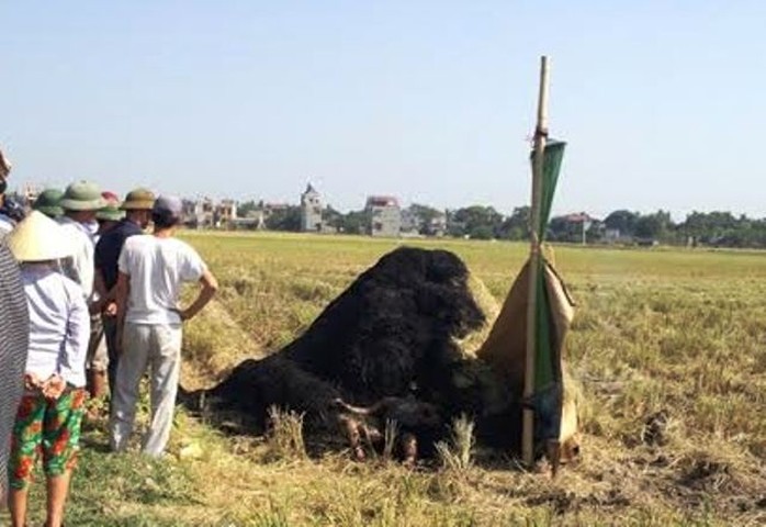 Hiện trường nơi xảy ra vụ việc người đàn ông chết cháy đen. Ảnh Trần Bá Nghị