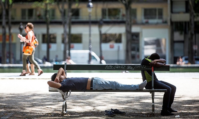 Dân Paris nằm dưới tán cây tránh nóng. Ảnh: EPA
