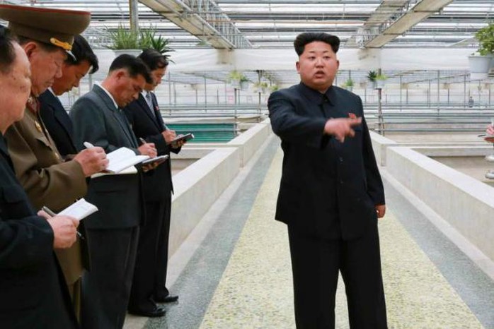 Lãnh đạo Kim Jong Un thăm trang trại rùa ngày 19-5 vừa qua. Ảnh: Yonhap