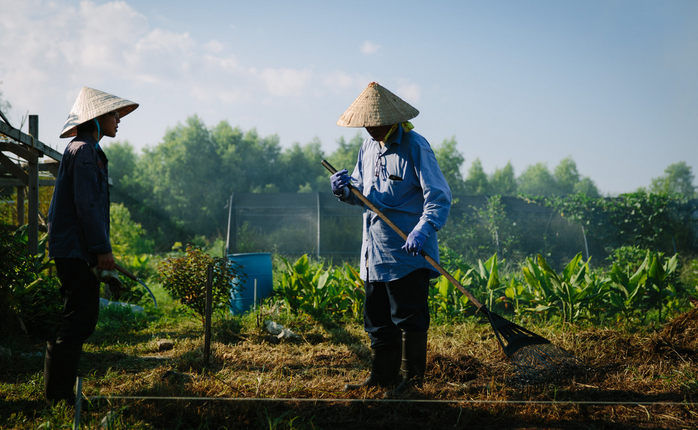 Hai người Mỹ gốc Việt Phuc Nguyen (phải) và Victoria Nguyen dọn vườn ở TP New Orleans. Ảnh: The New York Times