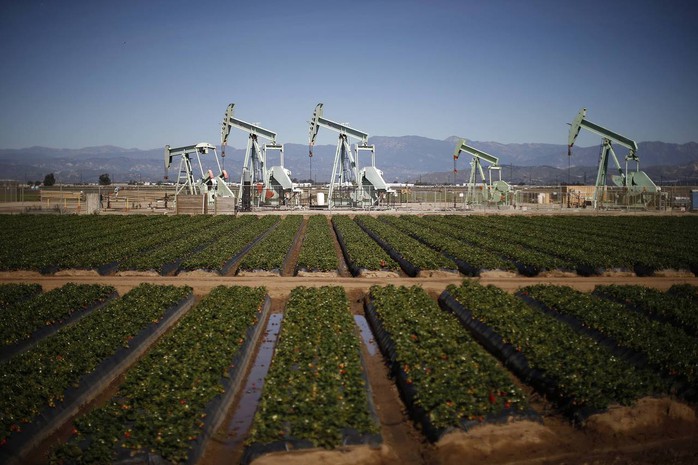 Giá dầu thô Mỹ đang có dấu hiệu tăng nhẹ. Ảnh: Reuters