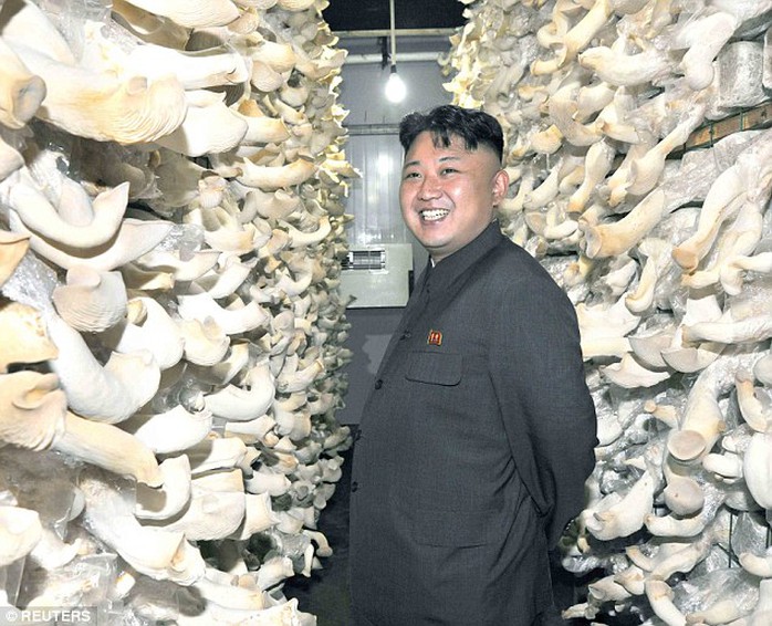 Mushroom farm: Surrounded by giant mushrooms, the leader seemed happy to be out and about in this photo taken in June 2013