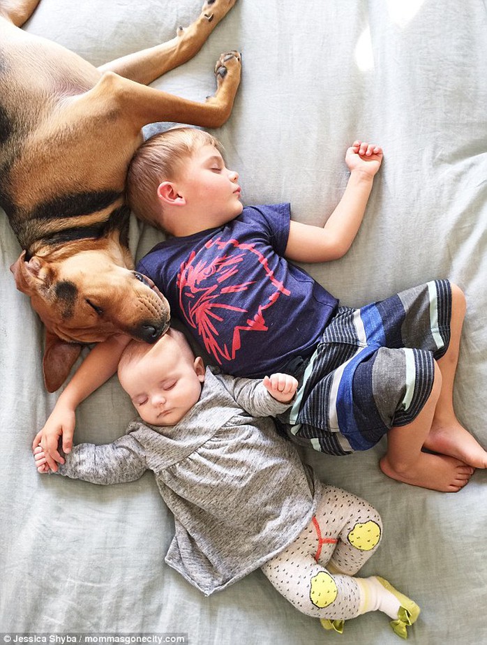 Shybas new photo book Naptime with Theo and Beau, will be available on Amazon and other online retailers in February