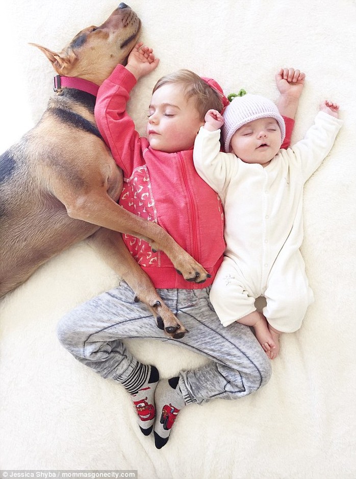 Deep asleep: Beau and puppy Theo have been joined by the Shyba familys newest arrival, Evangeline