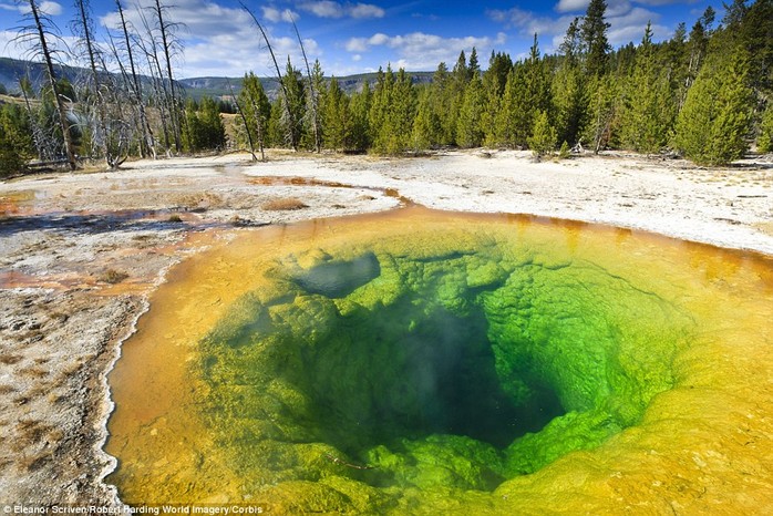 Morning Glory in the Yellowstone National Park was once a brilliant shade of blue, but now owes its yellow tinge to debris and coins thrown in over the years