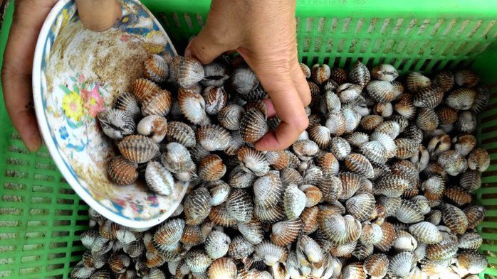 Sò huyết sạch - Ảnh: K.Thành Sò huyết sạch - Ảnh: K.Thành