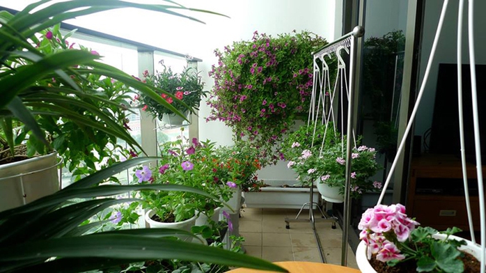 Ban công của chị Thanh Hương (31 tuổi) có chiều rộng gần 2m, dài khoảng 3m. Ngoài một bộ bàn, ghế nhỏ ngắm cảnh thì toàn bộ không gian được dành để trồng hoa. Ban công của chị Thanh Hương (31 tuổi) có chiều rộng gần 2m, dài khoảng 3m. Ngoài một bộ bàn, ghế nhỏ ngắm cảnh thì toàn bộ không gian được dành để trồng hoa.