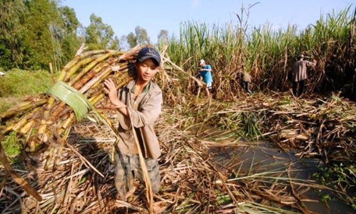 Đọc những thông tin kinh tế - tài chính mới nhất trên