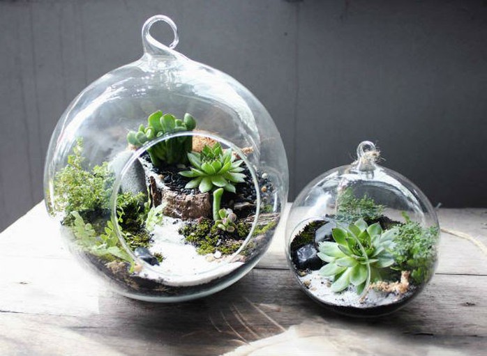 Mỗi sản phẩm là một khu vườn nhỏ trong bình thủy tinh xinh xắn