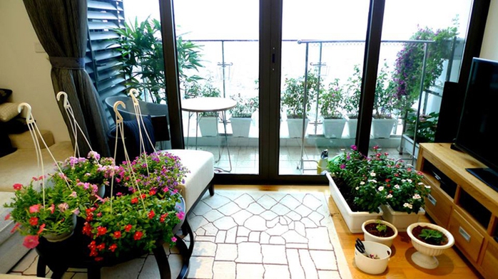 Chị còn vào các trang nước ngoài, học thêm kiến thức để chăm sóc từng loại hoa. Ví như tử linh lan phải trồng đất thoáng, tưới bằng nước hơi ấm hoặc nhiệt độ phòng, không được dính vào lá nếu không sẽ xuất hiện đốm đen và thối lá... Vào những ngày mưa gió, chị còn mang các chậu hoa vào trong nhà. Chị còn vào các trang nước ngoài, học thêm kiến thức để chăm sóc từng loại hoa. Ví như tử linh lan phải trồng đất thoáng, tưới bằng nước hơi ấm hoặc nhiệt độ phòng, không được dính vào lá nếu không sẽ xuất hiện đốm đen và thối lá... Vào những ngày mưa gió, chị còn mang các chậu hoa vào trong nhà.