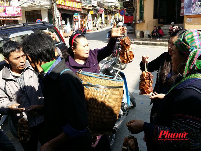 Vào mùa mưa, nếu ở gần và về trong ngày, bạn có thể mua nấm hương tươi