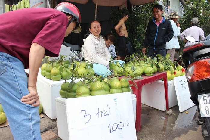 Mới hôm qua những quả bưởi hồ lô có chữ nổi được bán với giá hơn 400 ngàn/cặp, vậy mà hôm nay giá chỉ 100 ngàn/ba trái bà Nguyễn Thị Tuyến, ở Hậu Giang cho biết