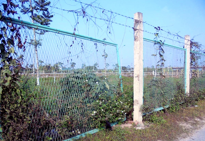 trồng-rau, đại-lộ-Thăng-Long, nông-dân, đền-bù, tận-dụng, khai-hoang trồng-rau, đại-lộ-Thăng-Long, nông-dân, đền-bù, tận-dụng, khai-hoang
