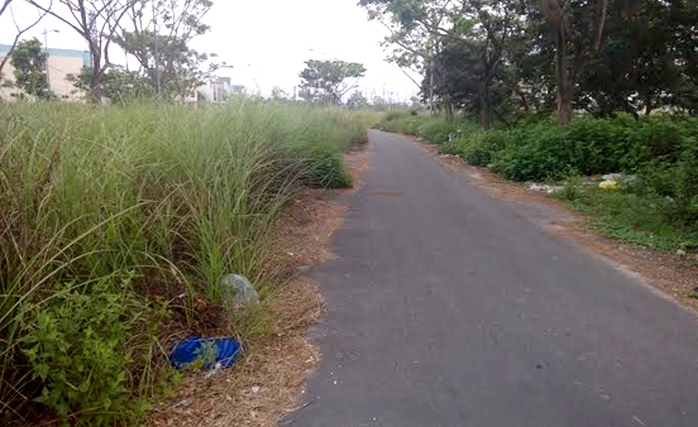 Đà Nẵng, biệt thự ma, sông Hàn, biệt thự, thể thao, bỏ hoang, cỏ mọc, bầu Hiển, U 19, Đà-Nẵng, biệt-thự-ma, sông-Hàn, biệt-thự, thể-thao, bỏ-hoang, cỏ-mọc, bầu-Hiển