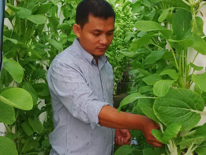 Anh Giang Mạnh Tuấn bên trang trại trồng rau an toàn theo phương pháp thủy canh trụ đứng của mình. Ảnh: H.K Anh Giang Mạnh Tuấn bên trang trại trồng rau an toàn theo phương pháp thủy canh trụ đứng của mình. Ảnh: H.K