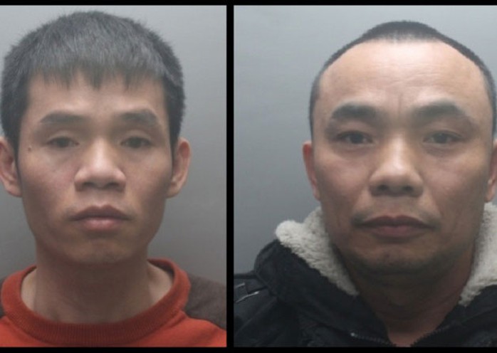 Hai người Việt nhập cư trái phép bị bắt gần đây vì tội giúp điều hành một trại cần sa ở thị trấn Hemel Hempstead - Anh Ảnh: HEMELTODAY.CO.UK