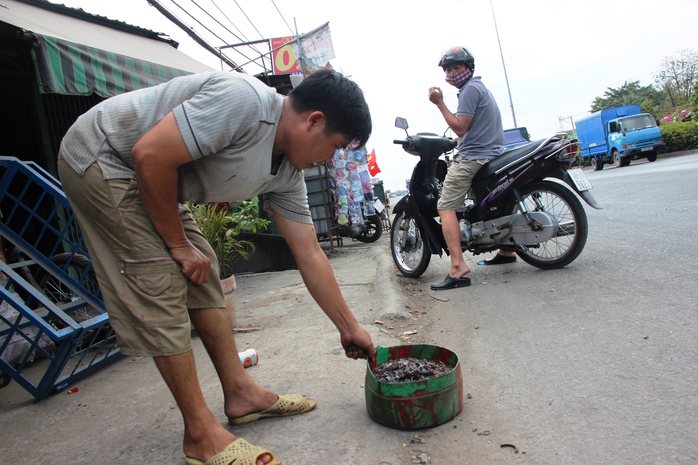 Đinh được rải đầy Quốc lộ 1, đoạn từ ngã tư Ga đến chợ An Phú Đông, quận 12.