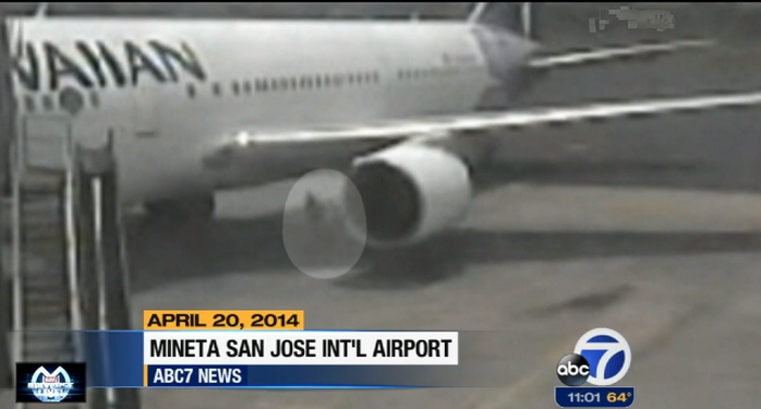 Bà Adriana đang lang thang bên cạnh một chiếc máy bay. Ảnh: ABC 7 News