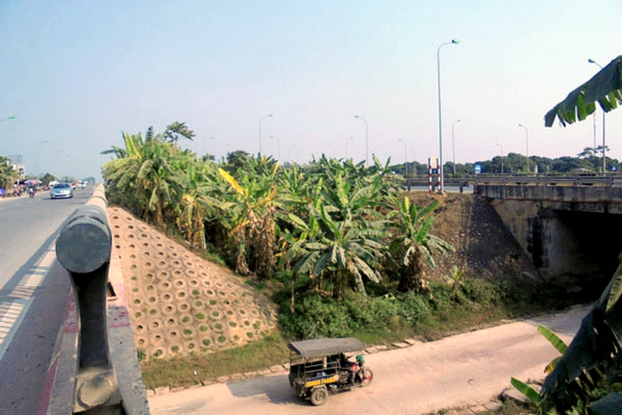 trồng-rau, đại-lộ-Thăng-Long, nông-dân, đền-bù, tận-dụng, khai-hoang trồng-rau, đại-lộ-Thăng-Long, nông-dân, đền-bù, tận-dụng, khai-hoang