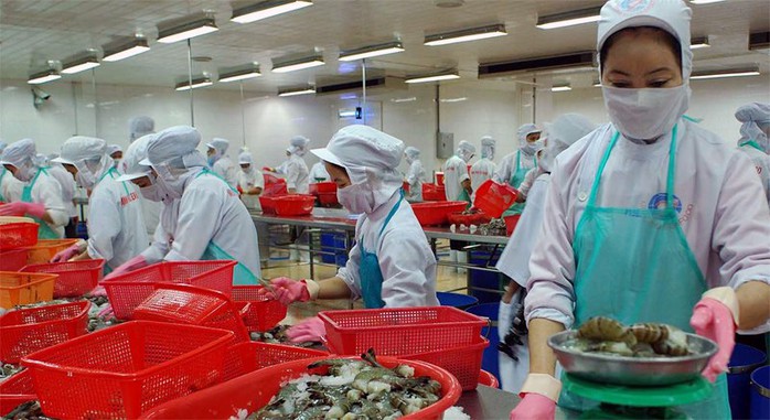 Diệu-Hiền, Trương-Thị-Lệ-Khanh, Chu-Thị-Bình, Lâm-Ngọc-Khuân, Dương-Ngọc-Minh, Mỹ-Tâm, đại-gia, thủy-sản, vỡ-nợ, lừa-đảo, nợ-nần, đại-gia, cá-tra, tôm, bán-phá-giá, ĐBSCL, Phương-Nam, Vĩnh-Hoàn, Minh-Phú