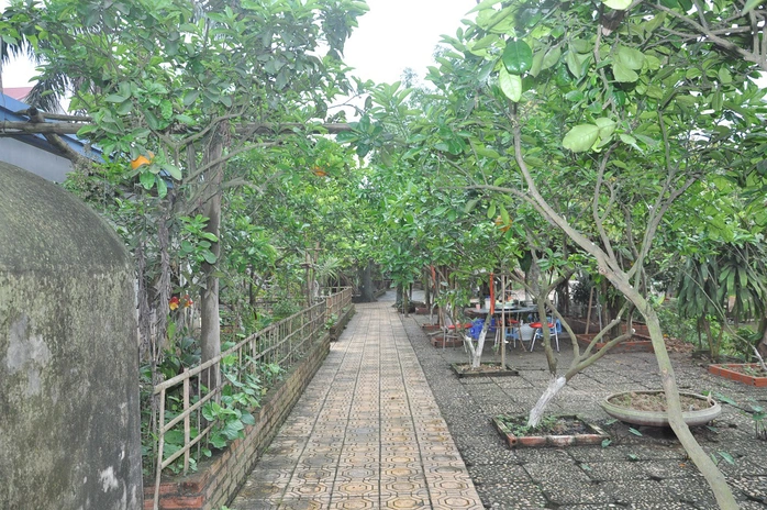 Cơ ngơi rộng 10.000 mét vuông của nghệ sĩ Giang còi được anh chăm chút trồng nhiều cây.