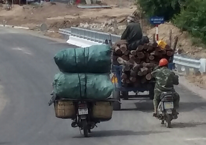 Một xe công nông chở gỗ trên địa bàn xã Chư Đrăng chiều ngày 27-7.