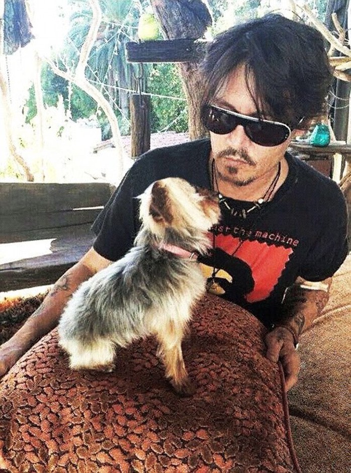 Johnny Depp bên chó cưng