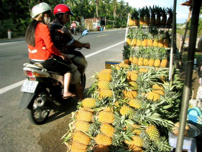 Ngoài việc bán cho thương lái, người dân còn mang khóm ra ven lộ để bán lẻ cho người đi đường