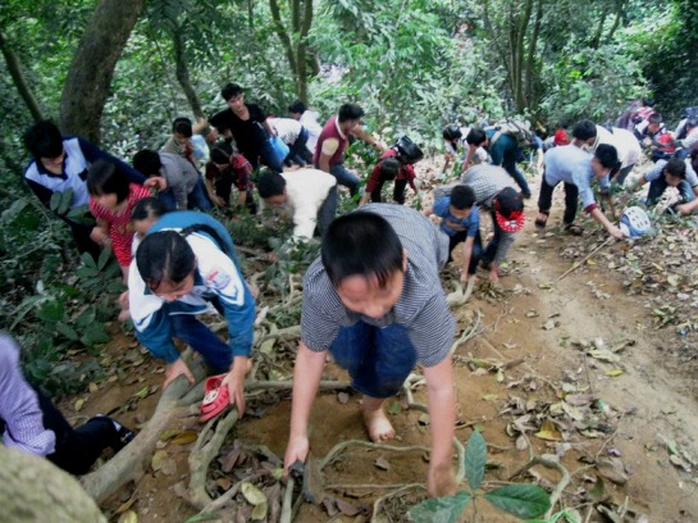 Do nóng lòng muốn được lên sớm nên nhiều du khách liều mình trèo lên các vách núi nghiêng khoảng 30 độ trơn trượt rất nguy hiểm