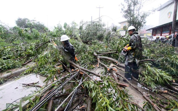 Cây đổ ở TP Baguio. Ảnh: Reuters
