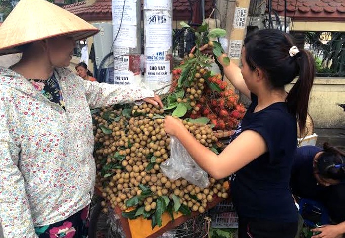 Nhãn lồng Hưng Yên, nhãn Trung Quốc, nhãn Sơn La, nhãn Thái, quảng cáo, gán mác, hàng rong, đặc sản, nhãn-lồng-Hưng-Yên, nhãn-Trung-Quốc, nhãn-Sơn-La, nhãn-Thái, quảng-cáo, gán-mác, hàng-rong, đặc-sản Nhãn lồng Hưng Yên, nhãn Trung Quốc, nhãn Sơn La, nhãn Thái, quảng cáo, gán mác, hàng rong, đặc sản, nhãn-lồng-Hưng-Yên, nhãn-Trung-Quốc, nhãn-Sơn-La, nhãn-Thái, quảng-cáo, gán-mác, hàng-rong, đặc-sản