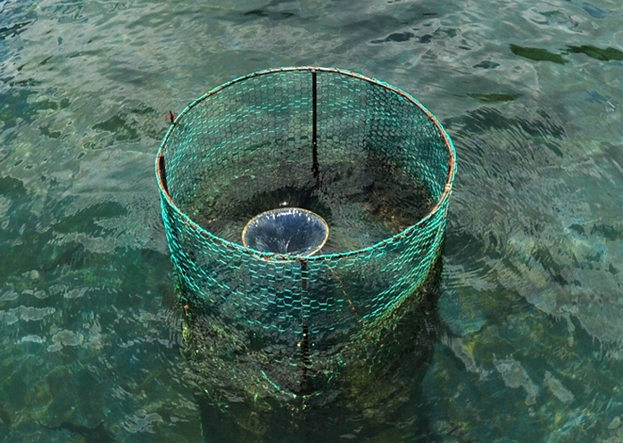 Hệ thống tuần hoàn nước suối tự động trong hồ nuôi cá tầm.
Theo ông Qúy, nhiệt độ nóng hoặc lạnh quá đều khiến cho cá tầm chậm lớn, dễ sinh dịch bệnh. Nhiệt độ nước suối đầu nguồn xã Sơn Bua (huyện vùng cao Sơn Tây) luôn ổn định, mùa đông thấp nhất chỉ 16 độ C, mùa hè cao nhất cũng chỉ 25 độ, là điều kiện lý tưởng để cá tầm lớn nhanh. Hệ thống tuần hoàn nước suối tự động trong hồ nuôi cá tầm.
Theo ông Qúy, nhiệt độ nóng hoặc lạnh quá đều khiến cho cá tầm chậm lớn, dễ sinh dịch bệnh. Nhiệt độ nước suối đầu nguồn xã Sơn Bua (huyện vùng cao Sơn Tây) luôn ổn định, mùa đông thấp nhất chỉ 16 độ C, mùa hè cao nhất cũng chỉ 25 độ, là điều kiện lý tưởng để cá tầm lớn nhanh.