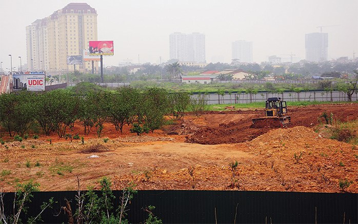 Những vườn đào ở phường Phú Thượng sẽ “biến mất” để nhường chỗ cho Dự án UDIC Westlake